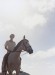 CRAN_CANARIA_HORSE006.jpg